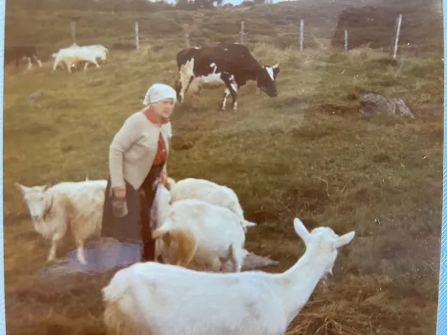 Thora og sau